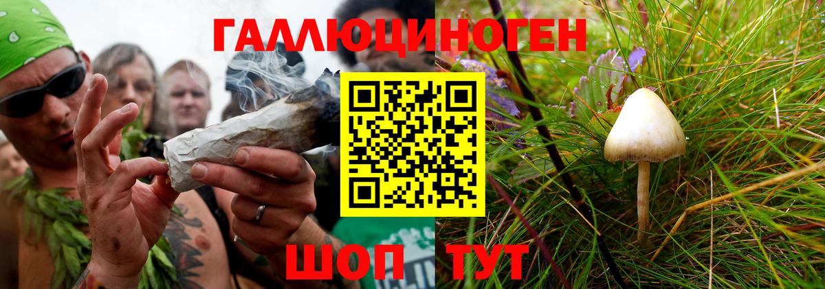 Псилоцибиновые грибы MAGIC MUSHROOMS  Псилоцибиновые грибы прущие грибы  Вход с VPN  Щёлково 